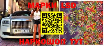 Альфа ПВП Гатчина