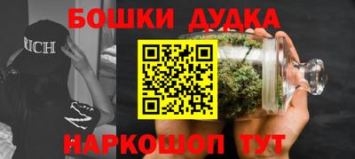 стаф Гай