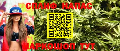 Альфа ПВП Гатчина