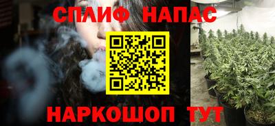 стаф Гай