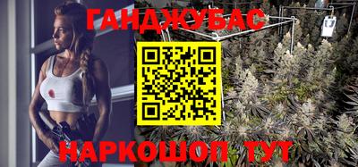 Альфа ПВП Гатчина