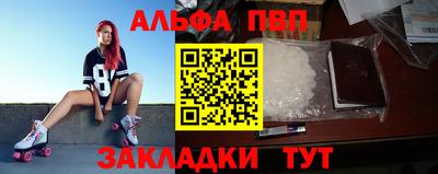 стаф Гай