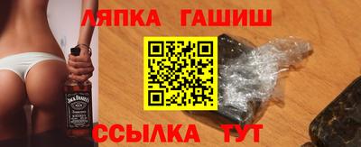 стаф Гай