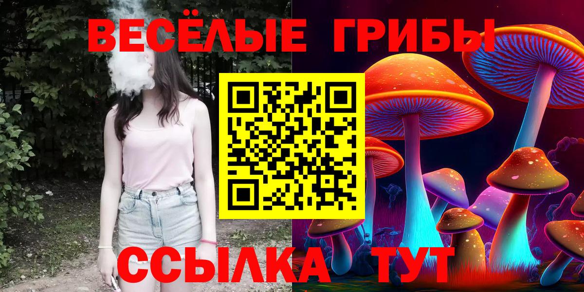 Псилоцибиновые грибы Psilocybine cubensis Саяногорск
