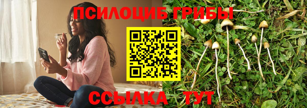 Псилоцибиновые грибы прущие грибы  Псилоцибиновые грибы ЛСД  Саяногорск  Вход с VPN 